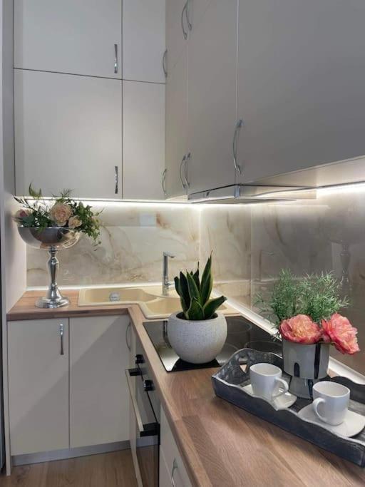 Cozy στο κεντρο Apartment Larissa