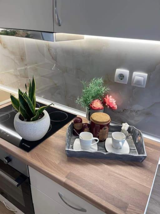 Cozy στο κεντρο Apartment Larissa