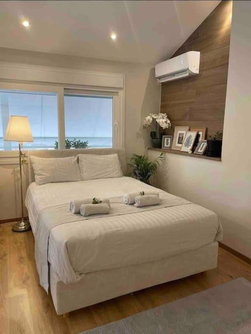 Cozy στο κεντρο Apartment Larissa